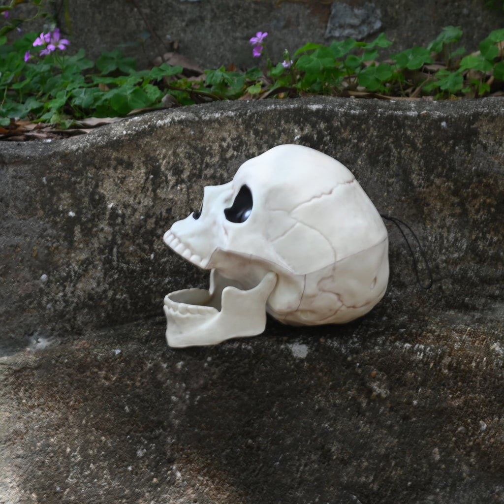 Seasons 5.8" Skull Skeleton Halloween Decoration Crazy Bonez Skeleton Line Sound and Light