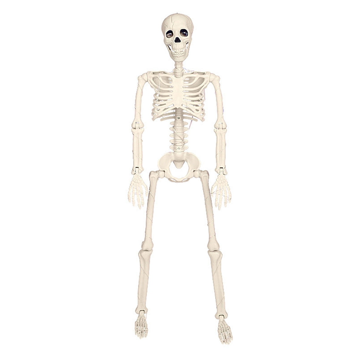 Fankiway Halloween Movable Skeleton Human Model Skull Full Body Mini Figure Toy , Decorations Skull Full Body Realistic Faux Human Skeleton Skull Decor