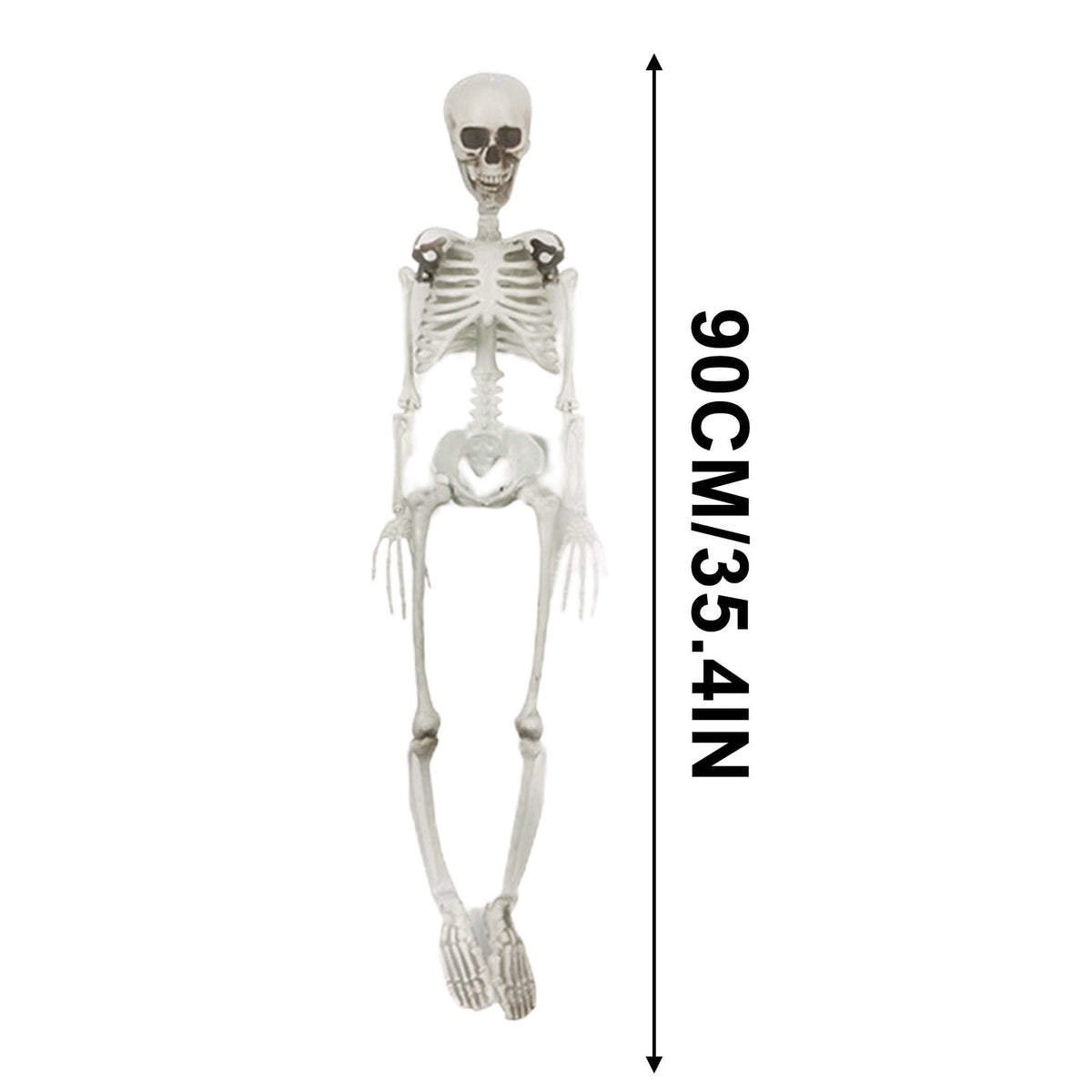 Cebalnir Halloween Skeleton Decoration Whole Body Halloween Hanging Skeleton Decoration With Movable Joints for Halloween Graveyard Decoration