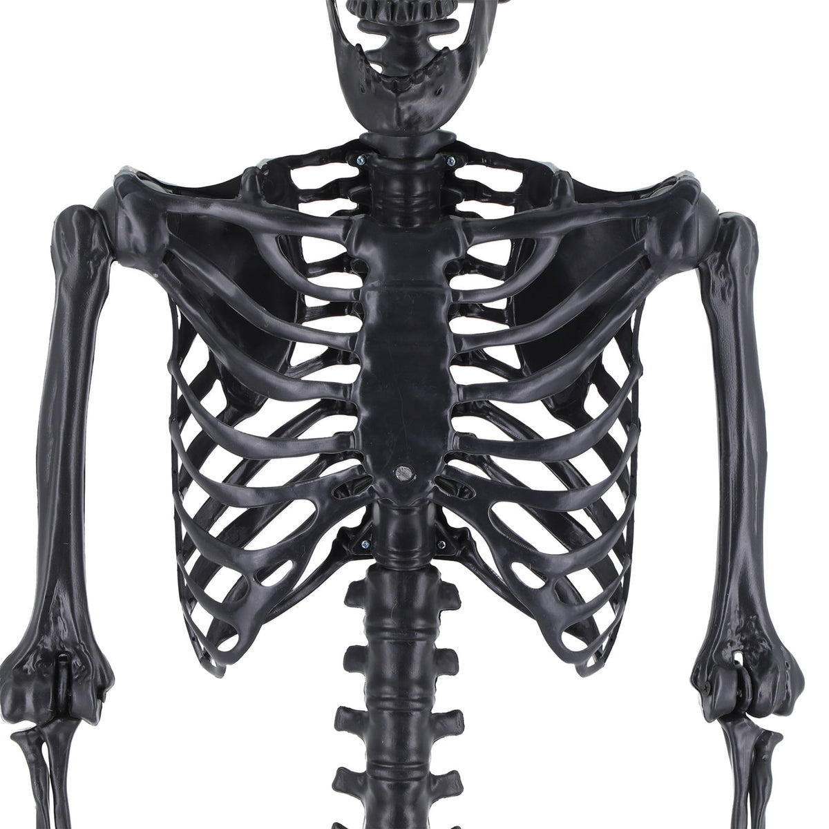 Cixusio 5.4Ft/165cm Halloween Skeleton Full Body Life Size Human Bones with Movable Joints for Indoor Outdoor Haunted House Party Halloween Props Decorations