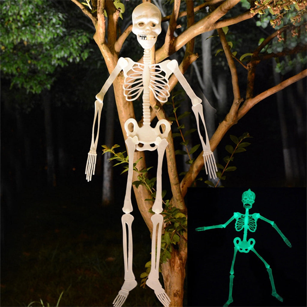 Darzheoy 35" Halloween Skeleton, Full Body Skeleton with Posable Movable Joints for Props Decorations