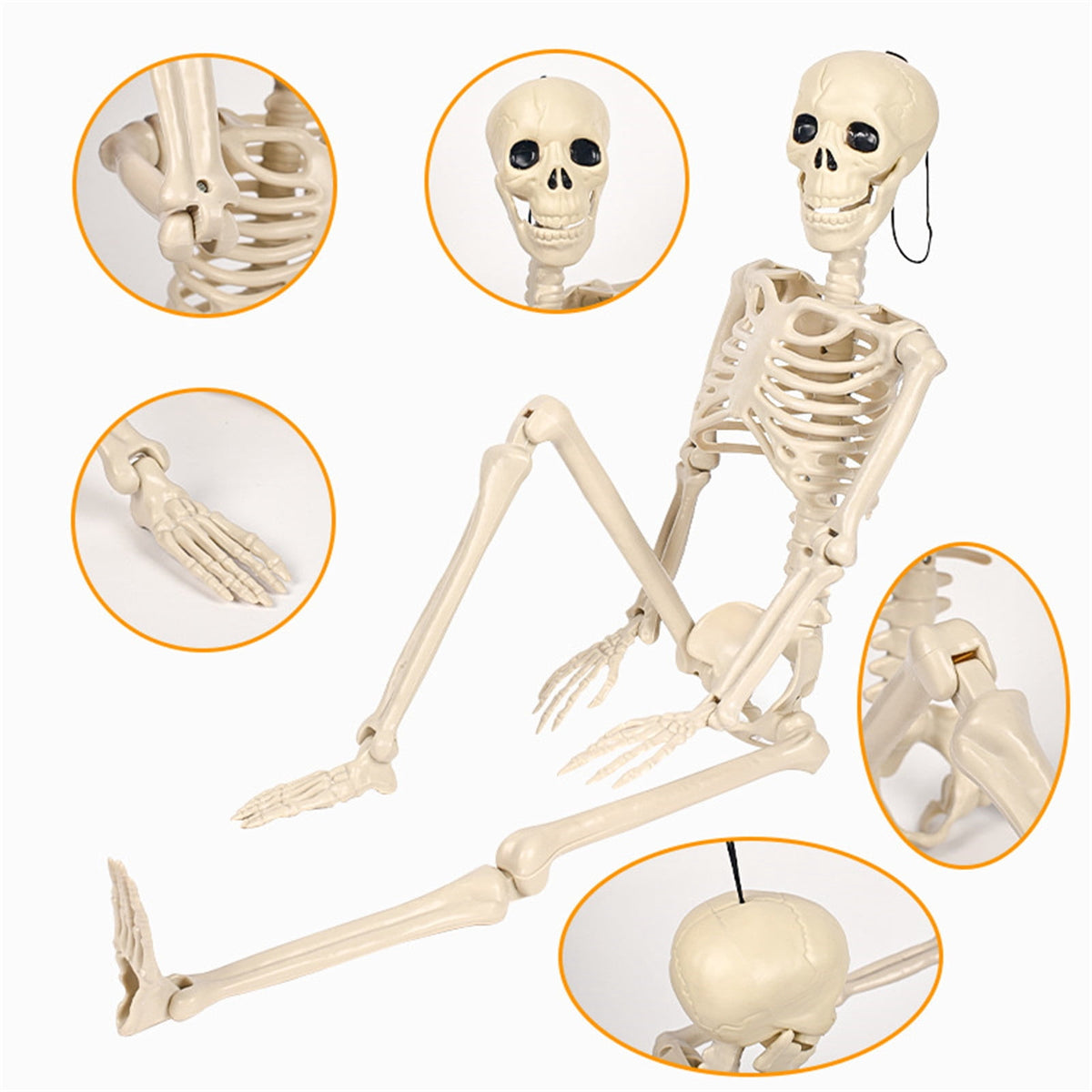 AUHomi 1 PC Halloween Skeleton, 15.7" Full Body Halloween Skeleton Decor with Movable Joints, Party Decorations, Halloween Outdoor Skeleton Decoration, Horror House Graveyard Props (S)