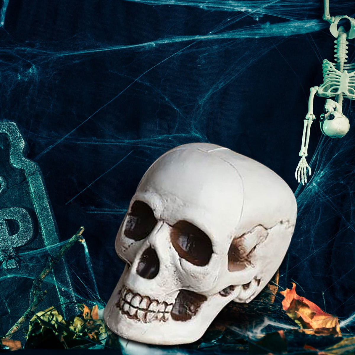 Halloween Skeletons Plastic Realistic Fake Simulation Human Skull Head Bone Model for Home Living Room, Bedroom, Courtyard, Patio,Party Decoration