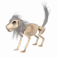14.9 inches Sitting Skeleton Dog,Plastic Hairy Animal Skeleton Decorations,Gothic Posable Dog Body, Spooky Party Favors,Halloween Full Body Posable Joints Hairy Dog Skeleton Graveyard Party Decor