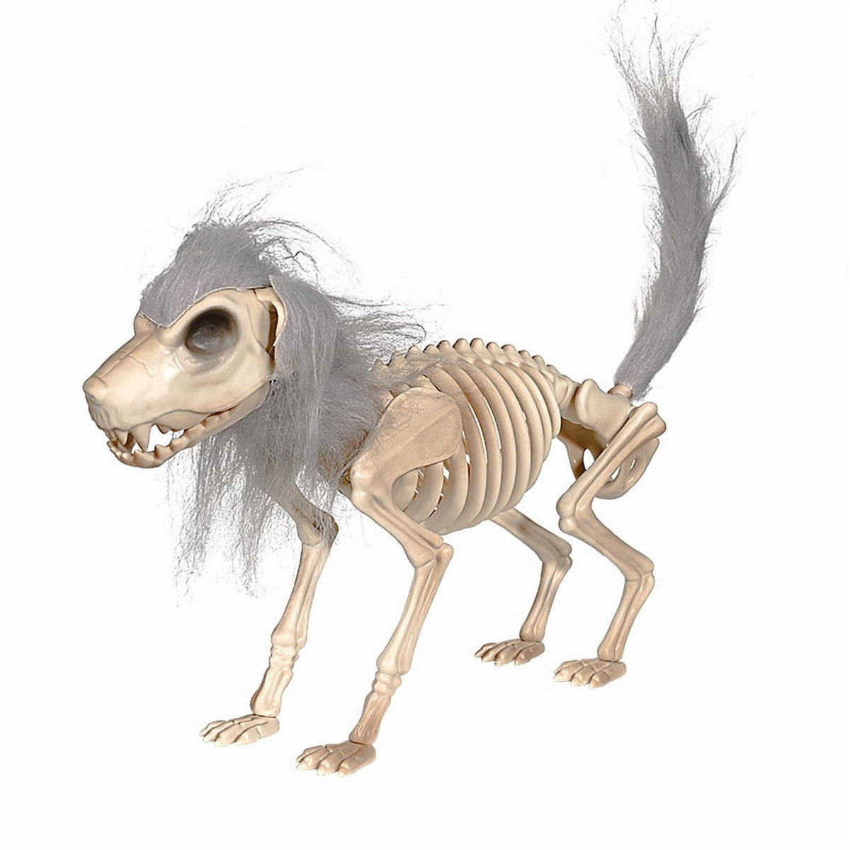 14.9 inches Sitting Skeleton Dog,Plastic Hairy Animal Skeleton Decorations,Gothic Posable Dog Body, Spooky Party Favors,Halloween Full Body Posable Joints Hairy Dog Skeleton Graveyard Party Decor