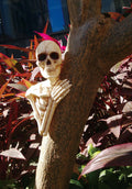 14" Skeleton Tree Peeker Decoration