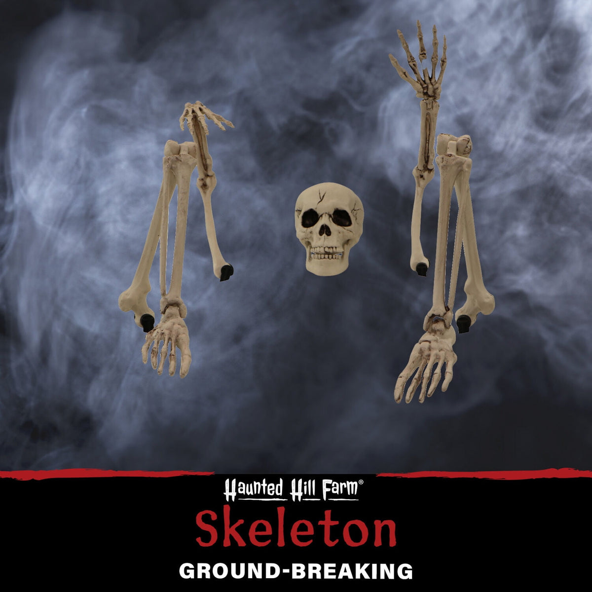 Haunted Hill Farm Life-size Groundbreaking Skeleton, Included Skull Head, Arms and Legs, Haunted House Halloween Decoration, HHGBSKEL-1GB