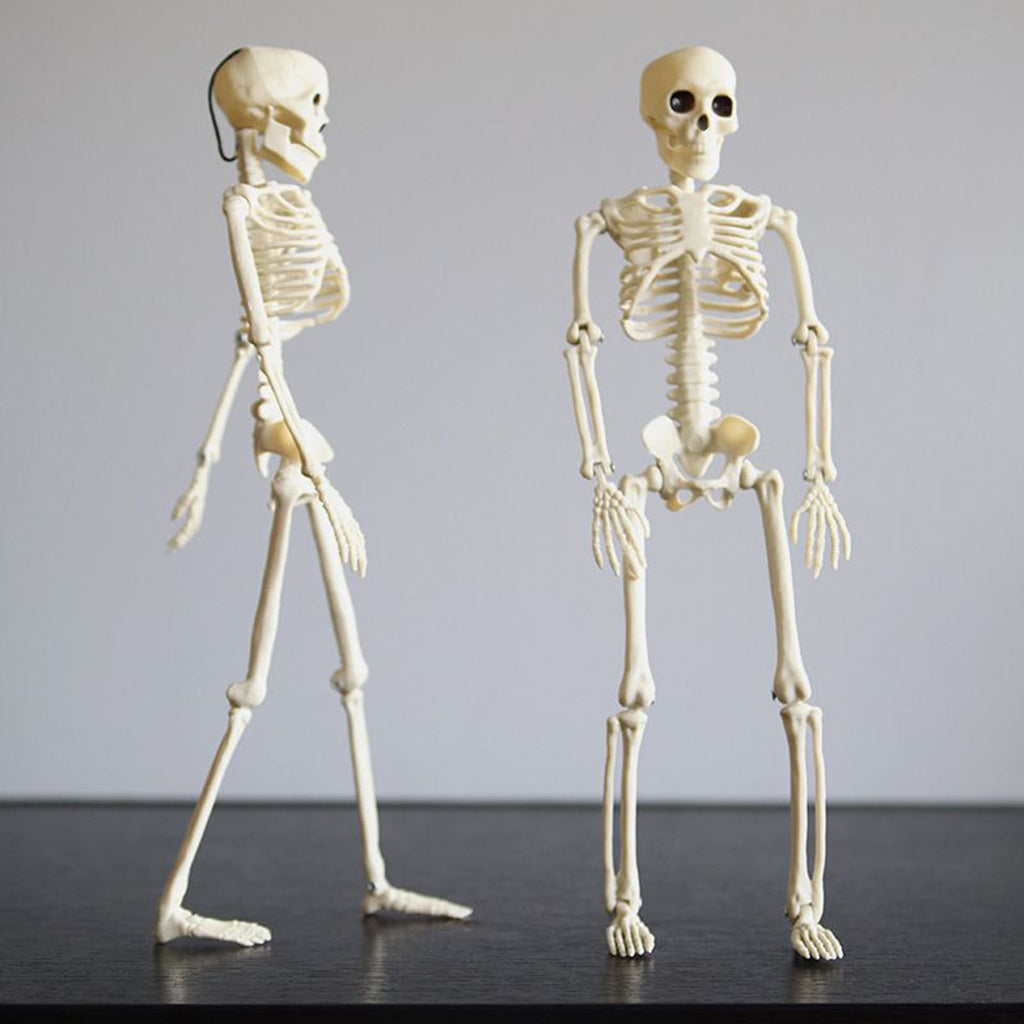 Beautynvta Posable Halloween Skeletons Decor, 15''x4.7'' Small Hanging Skeleton with Movable Joints for Halloween Decorations, Graveyard Props