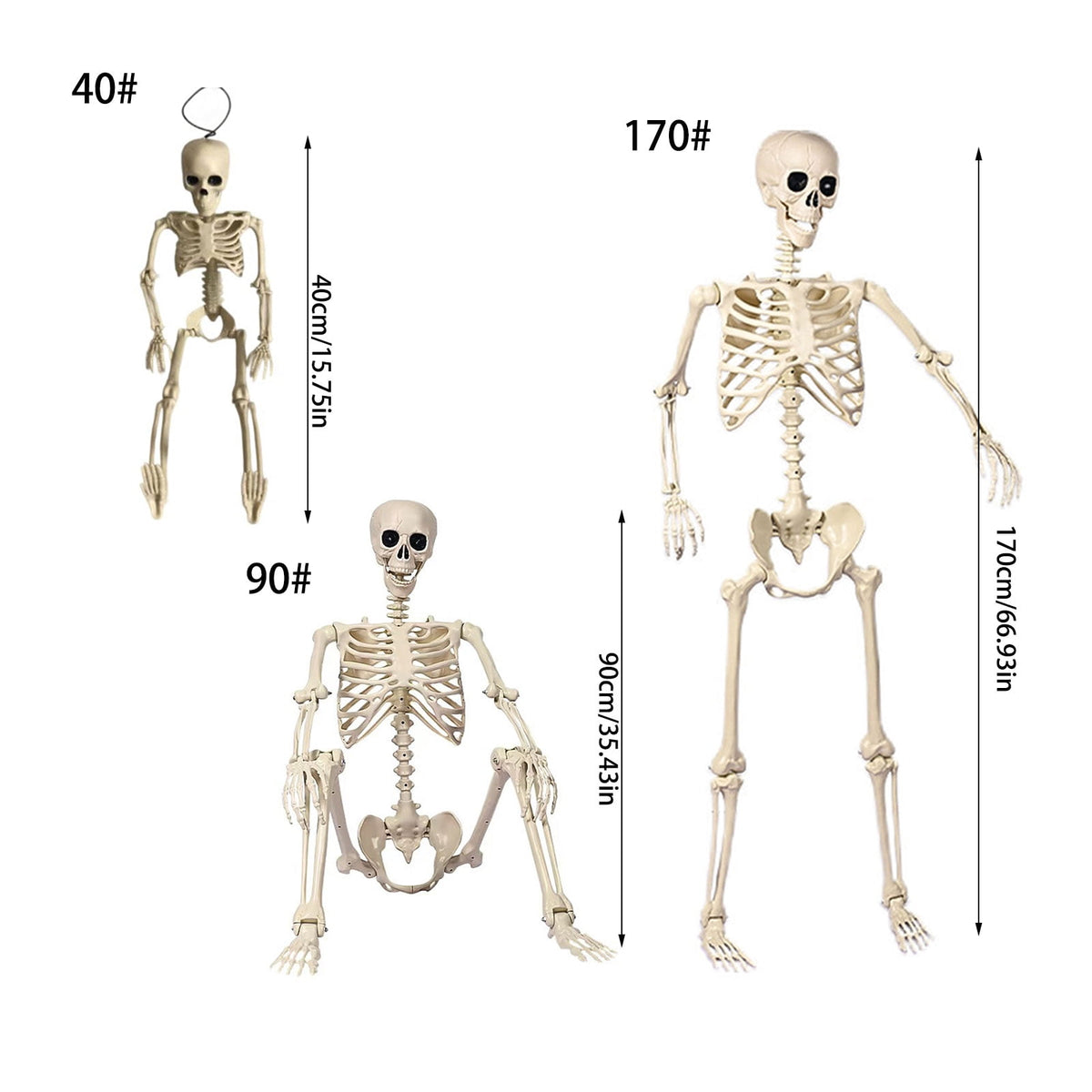 Poseable Halloween Skeleton with Flexible Joints, Sturdy Indoor/Outdoor Party Decor