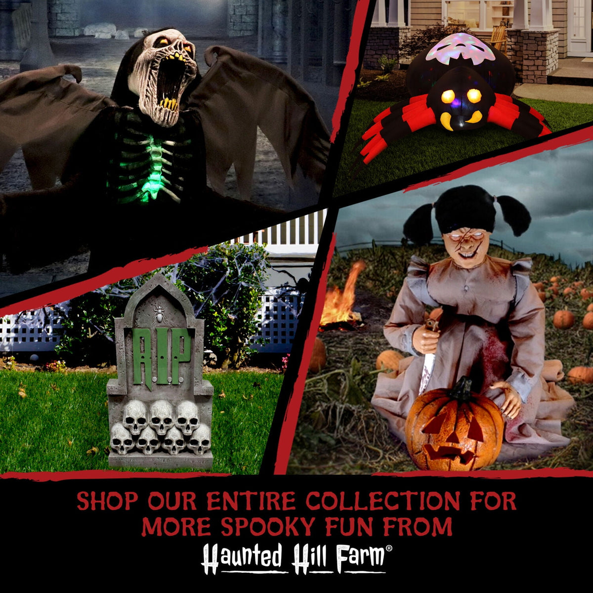 Haunted Hill Farm Life-size Groundbreaking Skeleton, Included Skull Head, Arms and Legs, Haunted House Halloween Decoration, HHGBSKEL-1GB