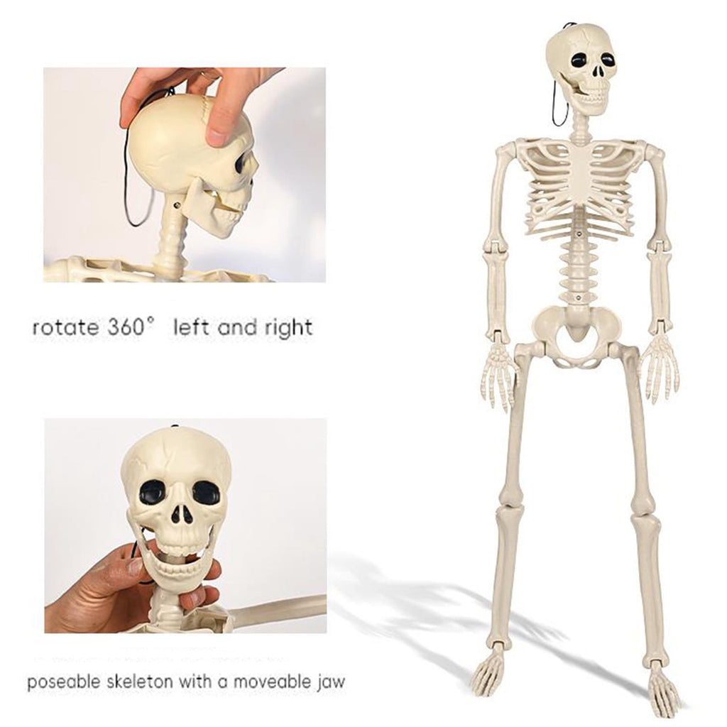 Coollooc Skeleton Halloween Decorations, 1.3Ft Realistic Full Body Movable Posable Joints Skeleton, Plastic Skeleton Decors for Halloween Party Haunted House Yard Supplies(A)