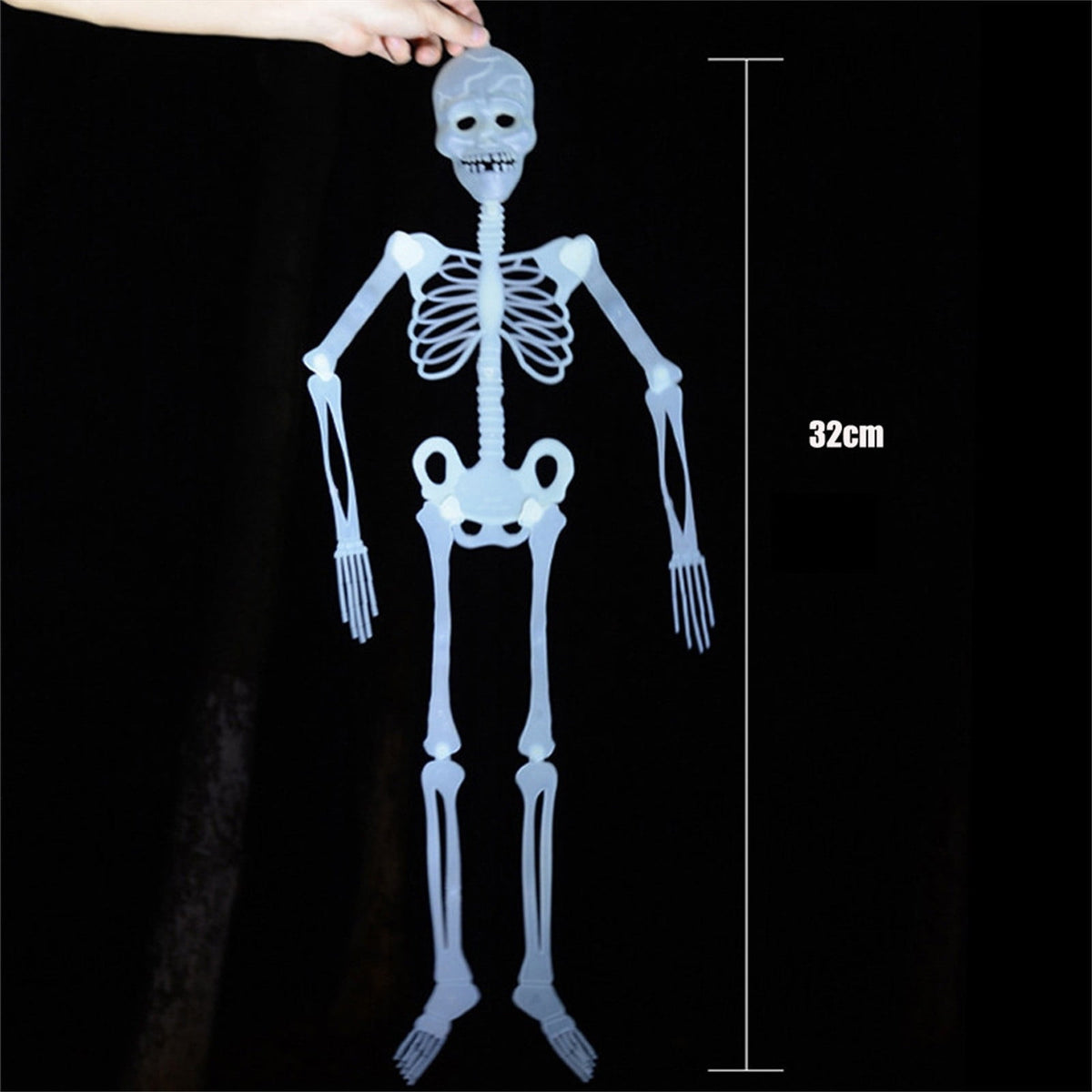 Darzheoy 35" Halloween Skeleton, Full Body Skeleton with Posable Movable Joints for Props Decorations