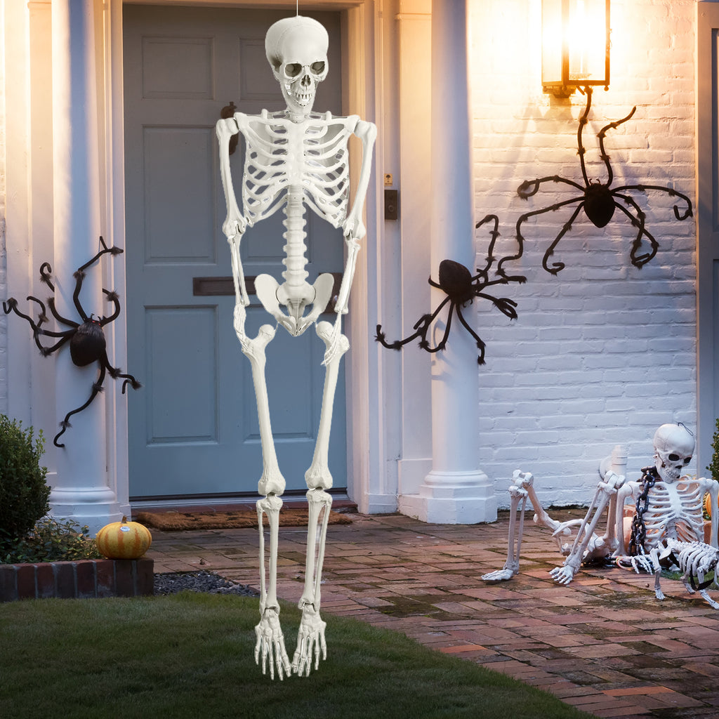 Cixusio 5.4Ft/165cm Halloween Skeleton Full Body Life Size Human Bones with Movable Joints for Indoor Outdoor Haunted House Party Halloween Props Decorations