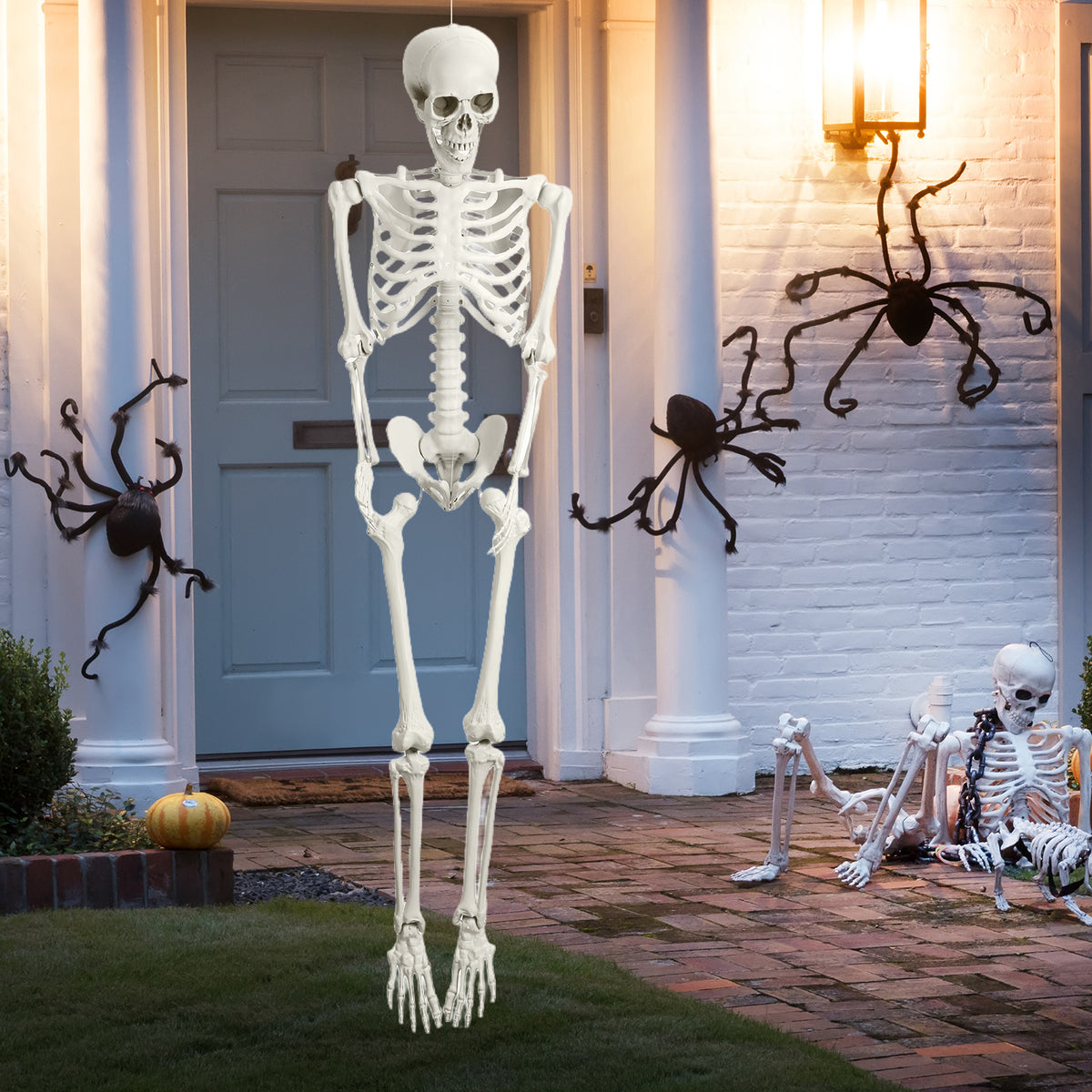 Cixusio 5.4Ft/165cm Halloween Skeleton Full Body Life Size Human Bones with Movable Joints for Indoor Outdoor Haunted House Party Halloween Props Decorations