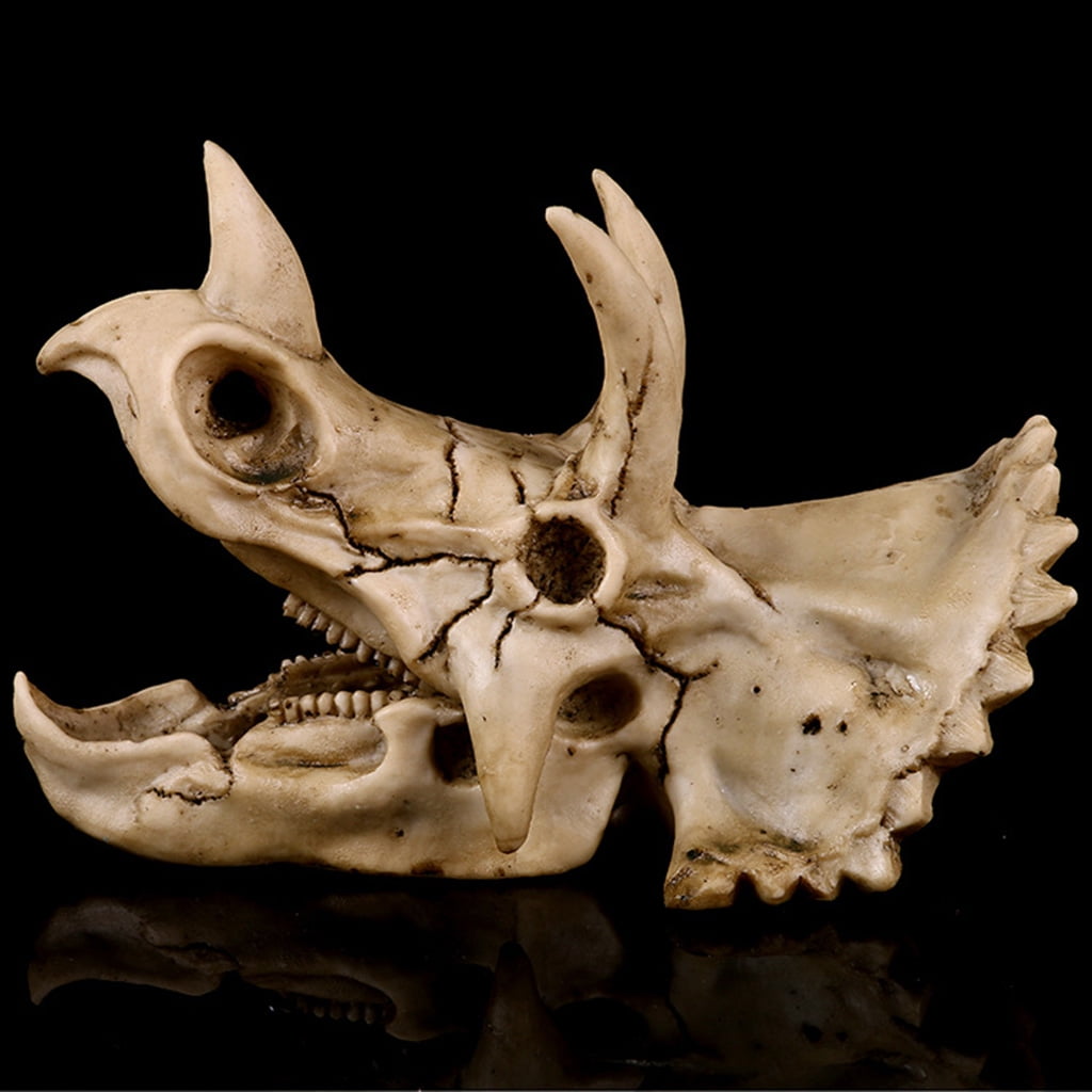 ZPAQI Triceratops Dinosaur Skull Resin Crafts Fossil Skeleton Teaching Model Halloween