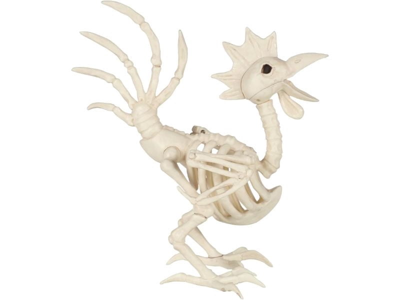 12 1/2" Rooster Skeleton Halloween Tabletop Decoration