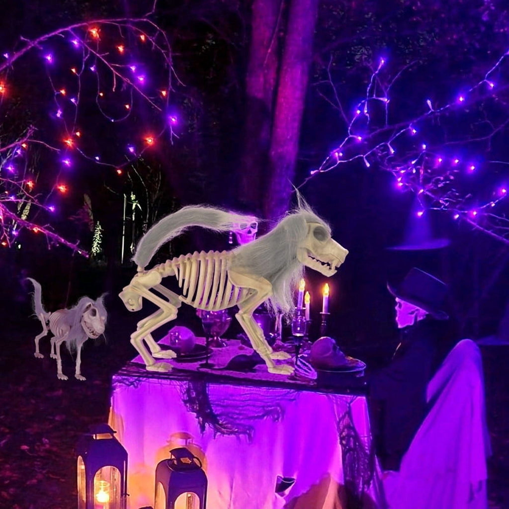 14.9 inches Sitting Skeleton Dog,Plastic Hairy Animal Skeleton Decorations,Gothic Posable Dog Body, Spooky Party Favors,Halloween Full Body Posable Joints Hairy Dog Skeleton Graveyard Party Decor