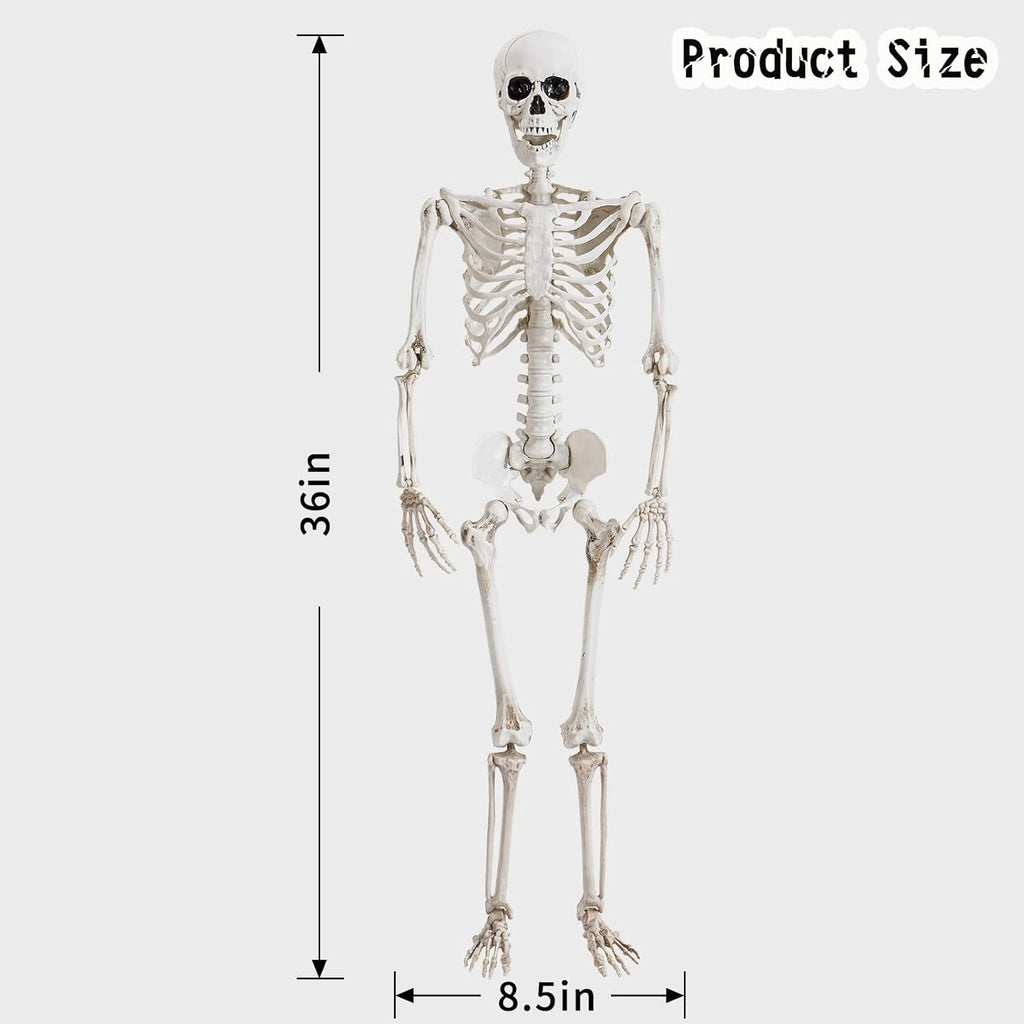 36" Posable Halloween Skeleton Decorations,Human Bones for Halloween Party with Movable Joints,for Haunted Houses, Front Lawn, Graveyard Props