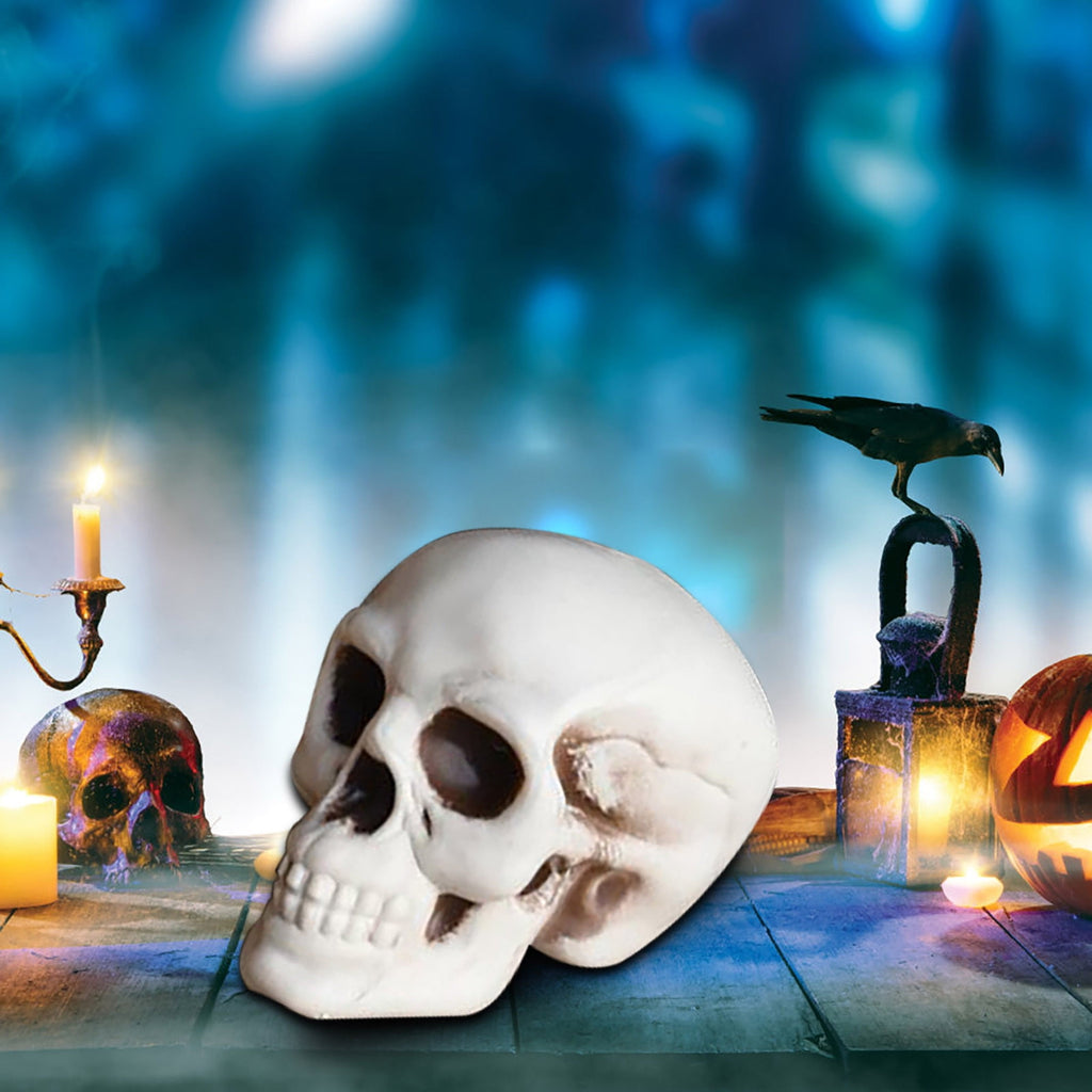 Darzheoy Halloween Skulls Halloween Skeletons Realistic Fake Simulation Human Skull Head Model Halloween Prop Realistic Mini Skeleton Spooky Halloween Decoration
