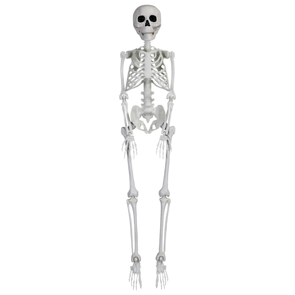 Faux Skeleton Decoration, White, 35", Halloween by Way To Celebrate