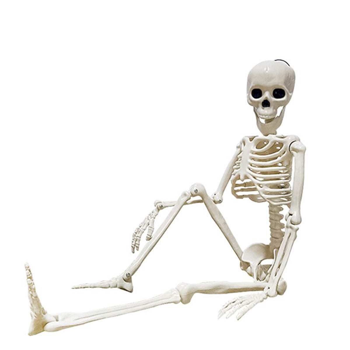 Beautynvta Posable Halloween Skeletons Decor, 15''x4.7'' Small Hanging Skeleton with Movable Joints for Halloween Decorations, Graveyard Props