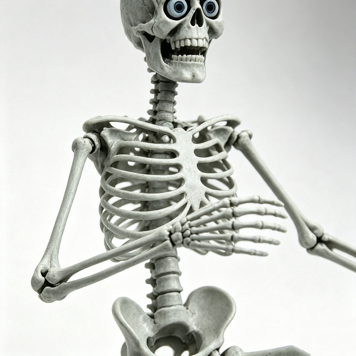 Diceymbol Life-Size Halloween Skeleton27.5Inch Tall Anatomical Model with Skull & Articulated Limbs, Durable Outdoor/Indoor Decoration for Spooky Displays