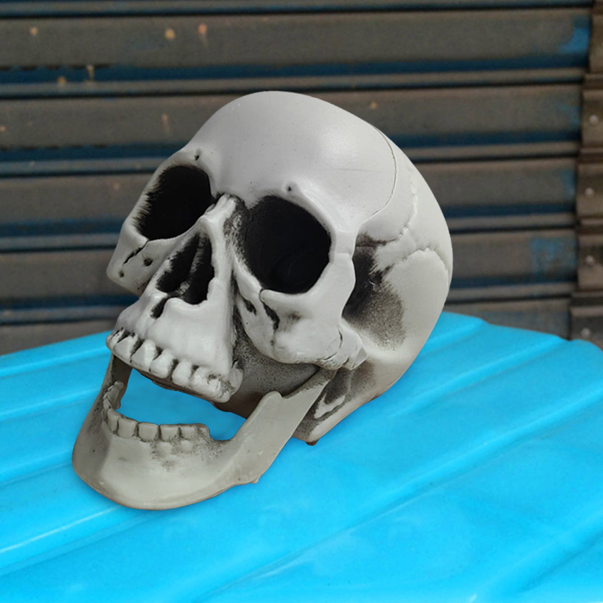 Darzheoy Halloween Skulls Halloween Skeletons Realistic Fake Simulation Human Skull Head Model Halloween Prop Realistic Mini Skeleton Spooky Halloween Decoration