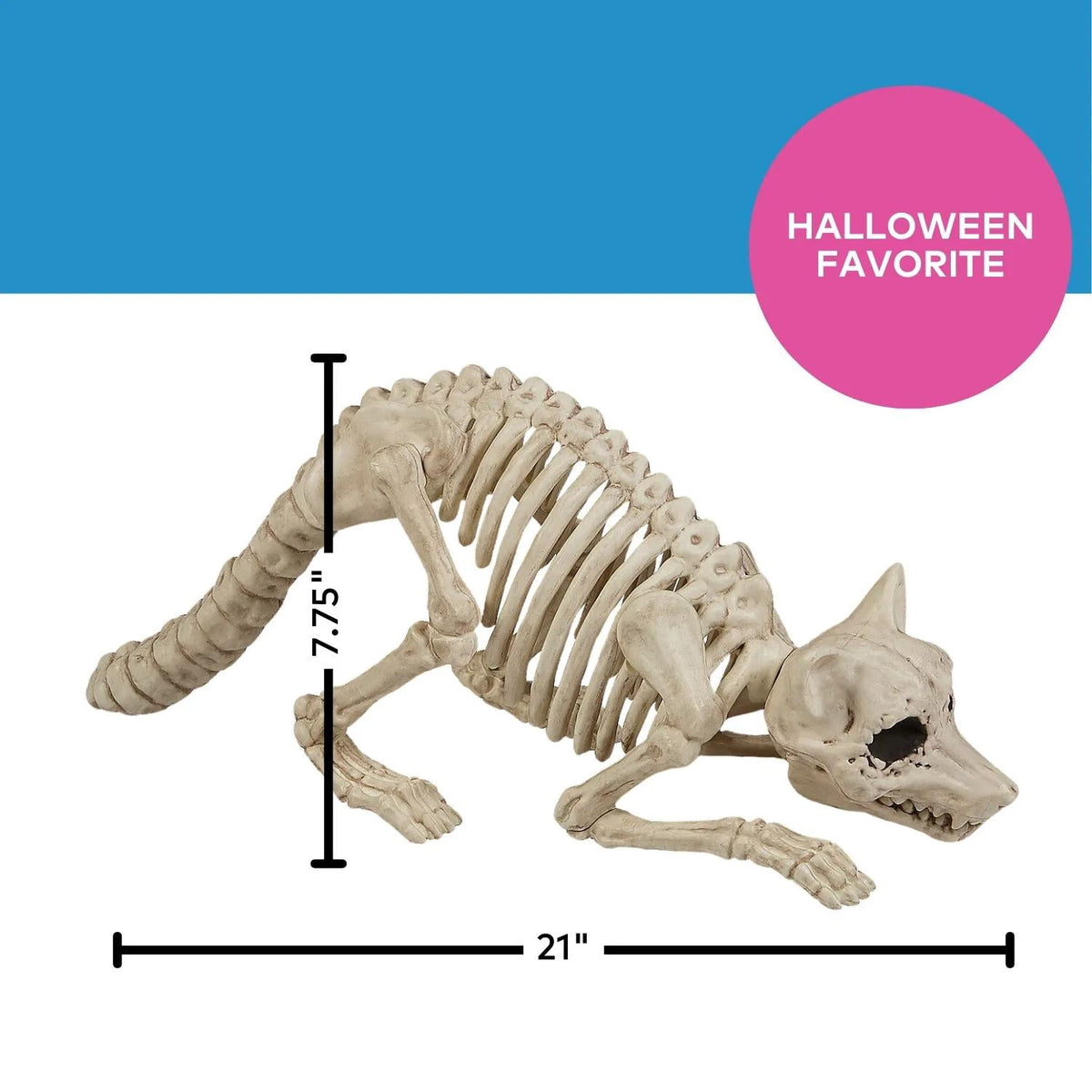Seasons 21 in Racoon Skeleton Plastic Halloween Decoration - Off-White