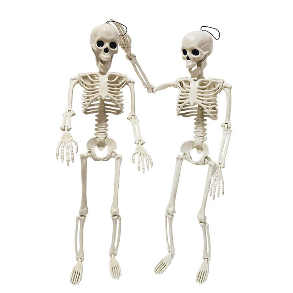 Beautynvta Posable Halloween Skeletons Decor, 15''x4.7'' Small Hanging Skeleton with Movable Joints for Halloween Decorations, Graveyard Props