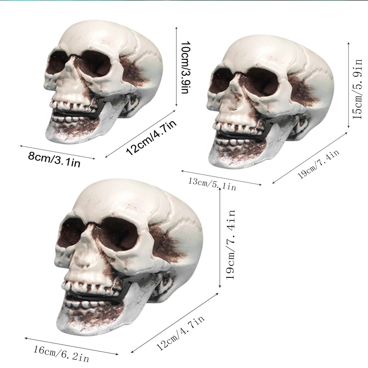 Realistic Human Skull Model Halloween Prop, Life Size Resin Skeleton Head Decoration for Party, Classroom, Medical Display, and Home Decor
