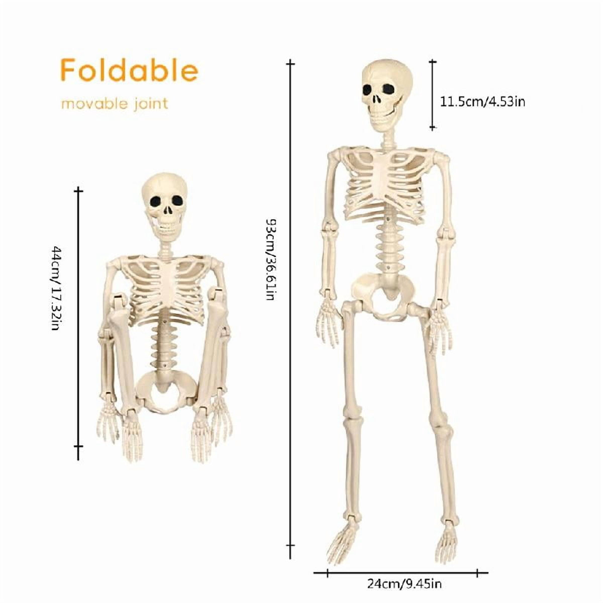 Tizuqe Poseable Halloween Skeleton with Movable Joints Realistic Full Body Bone Ornament Eerie Outdoor and Indoor Decoration