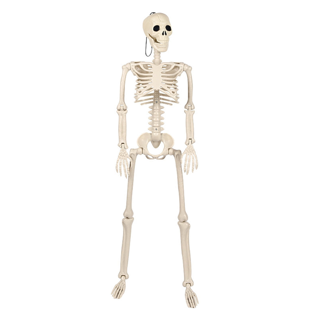 Coollooc Skeleton Halloween Decorations, 1.3Ft Realistic Full Body Movable Posable Joints Skeleton, Plastic Skeleton Decors for Halloween Party Haunted House Yard Supplies(A)