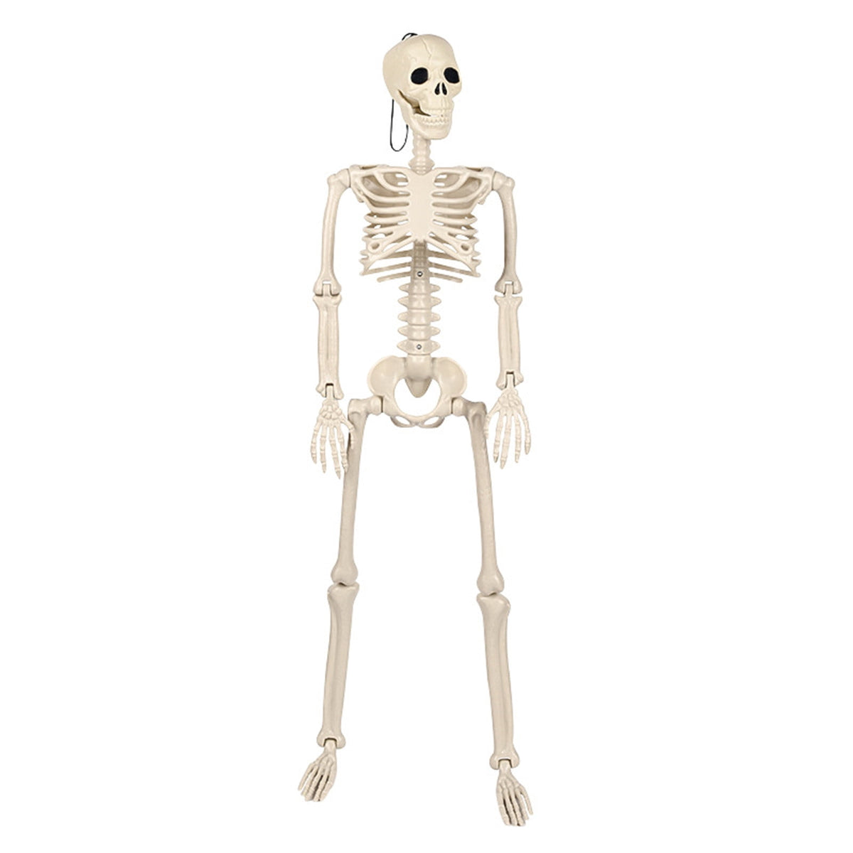 Coollooc Skeleton Halloween Decorations, 1.3Ft Realistic Full Body Movable Posable Joints Skeleton, Plastic Skeleton Decors for Halloween Party Haunted House Yard Supplies(A)