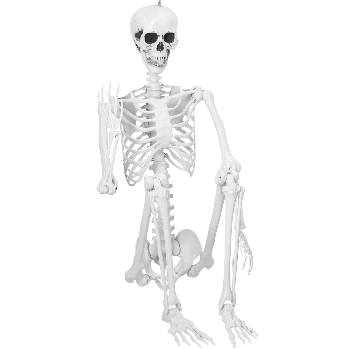 Cixusio 5.4Ft/165cm Halloween Skeleton Full Body Life Size Human Bones with Movable Joints for Indoor Outdoor Haunted House Party Halloween Props Decorations