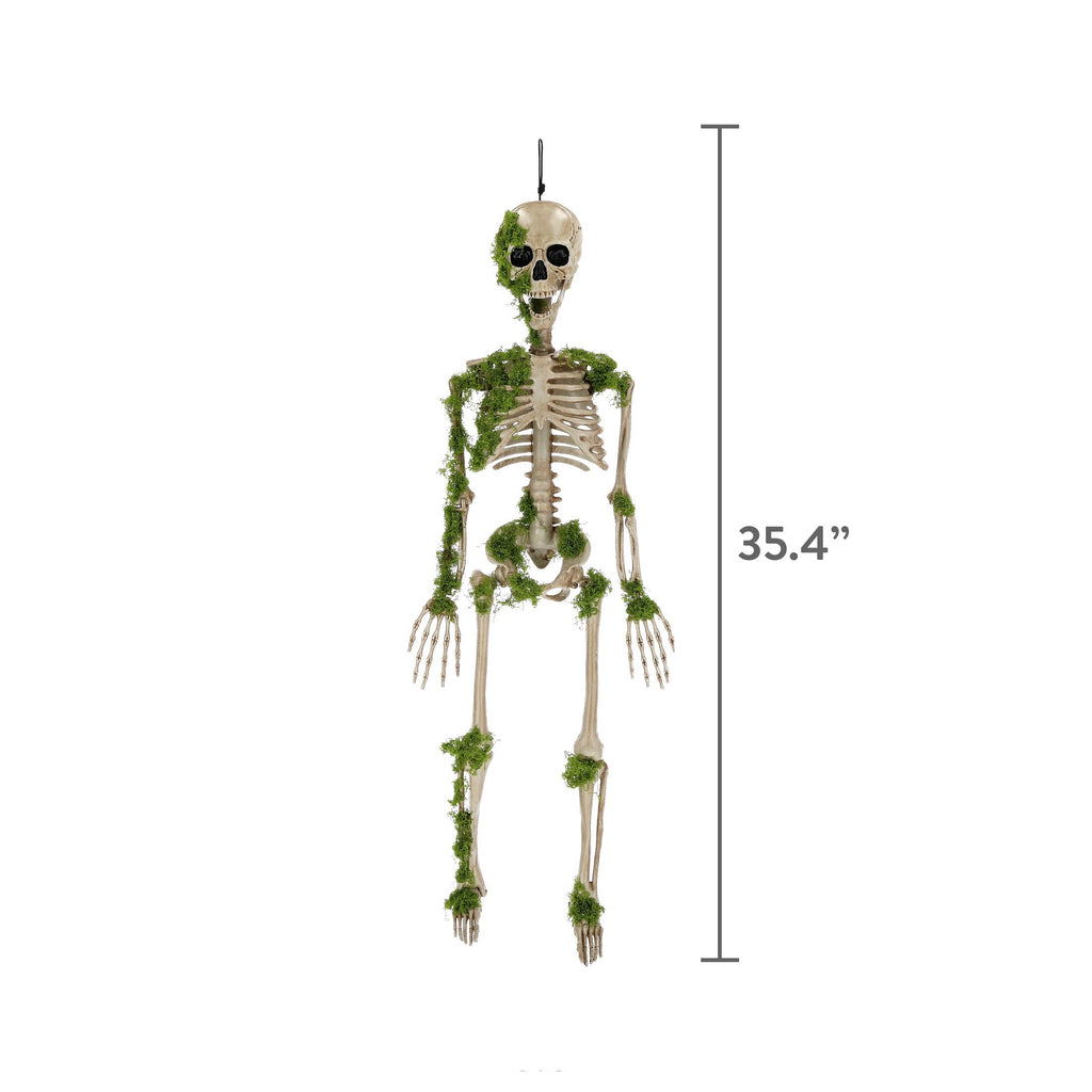 Moss Skeleton Decoration, Multicolor, 35.4", Halloween by Way To Celebrate