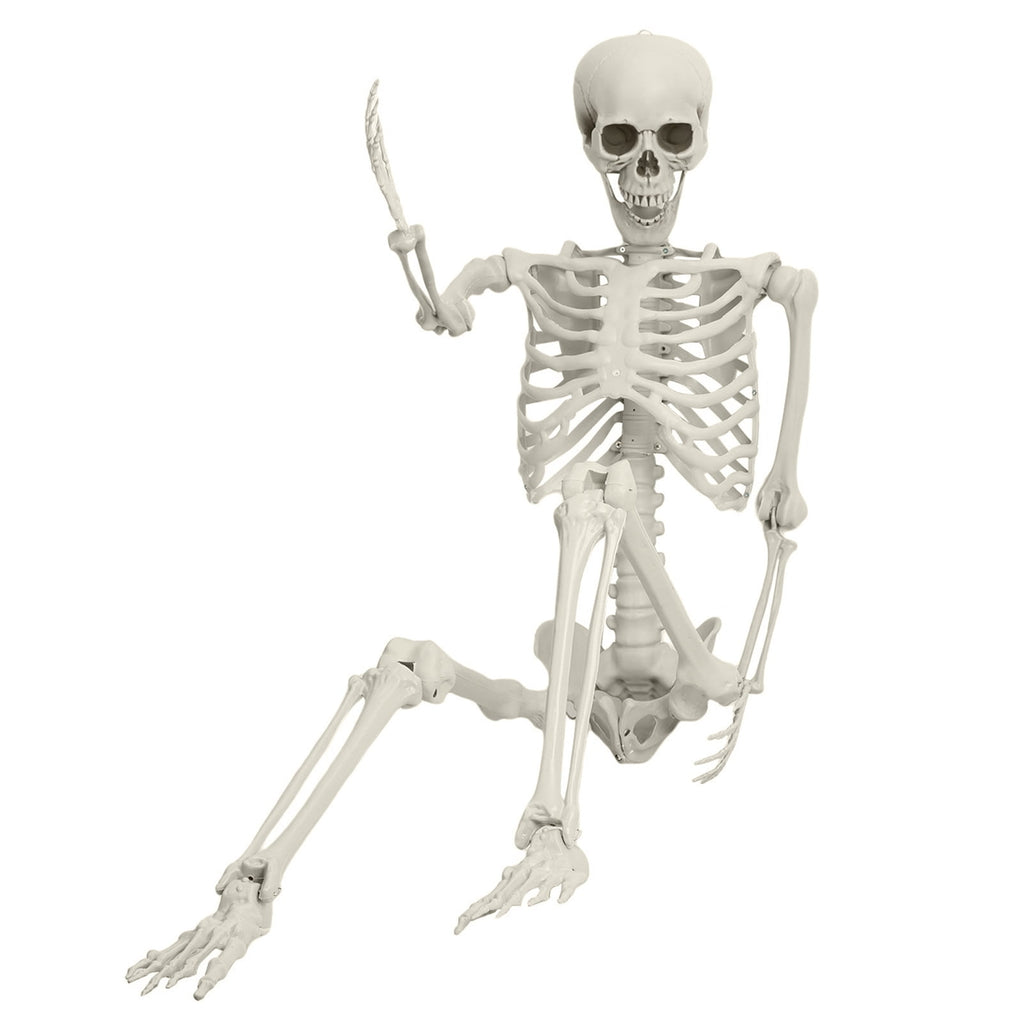Yedigre 5.4FT HalloweenSkeleton Decor, Movable Joints Realistic Full Body Bones Skeleton Prop, No Light