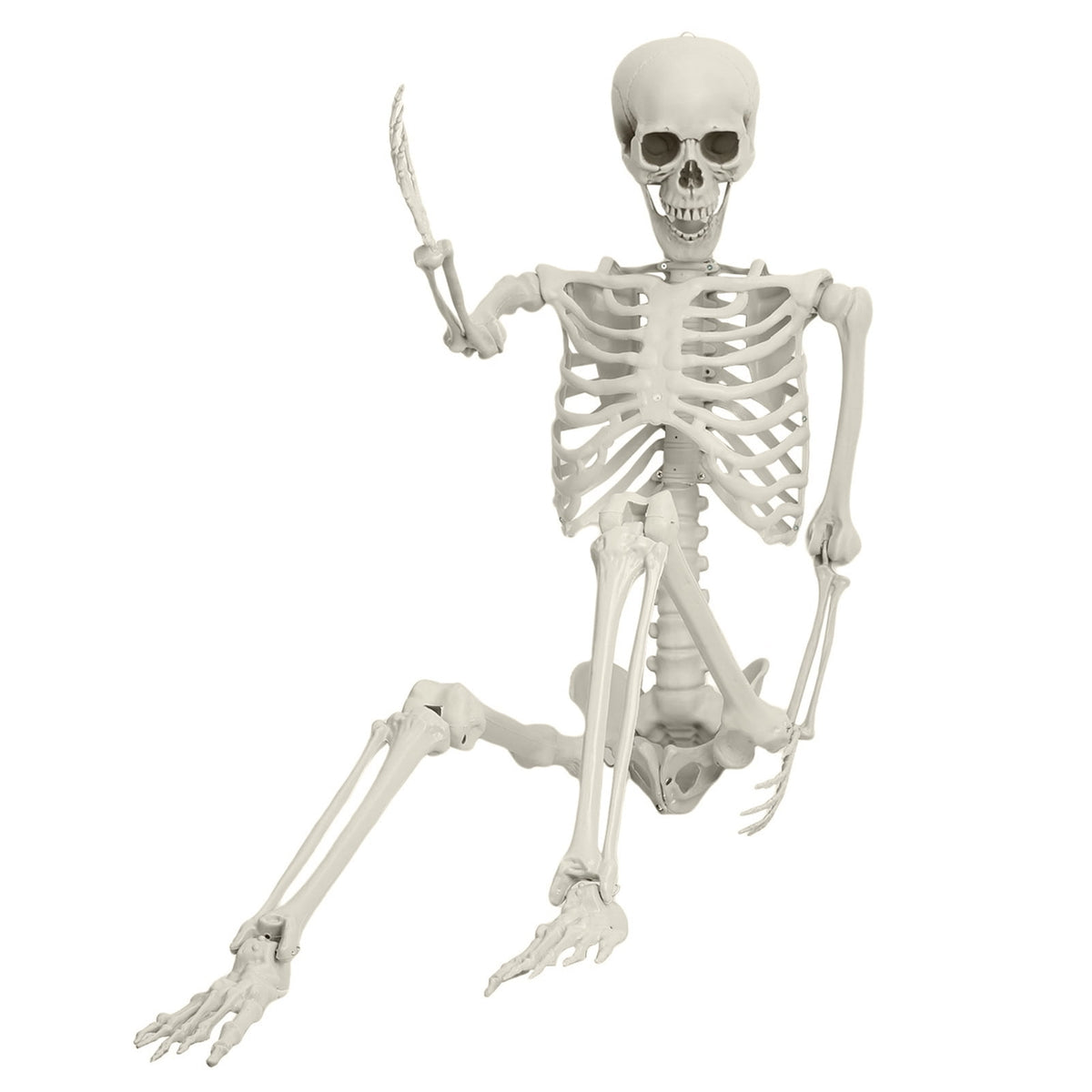 Cixusio 5.4Ft/165cm Halloween Skeleton Full Body Life Size Human Bones with Movable Joints for Indoor Outdoor Haunted House Party Halloween Props Decorations