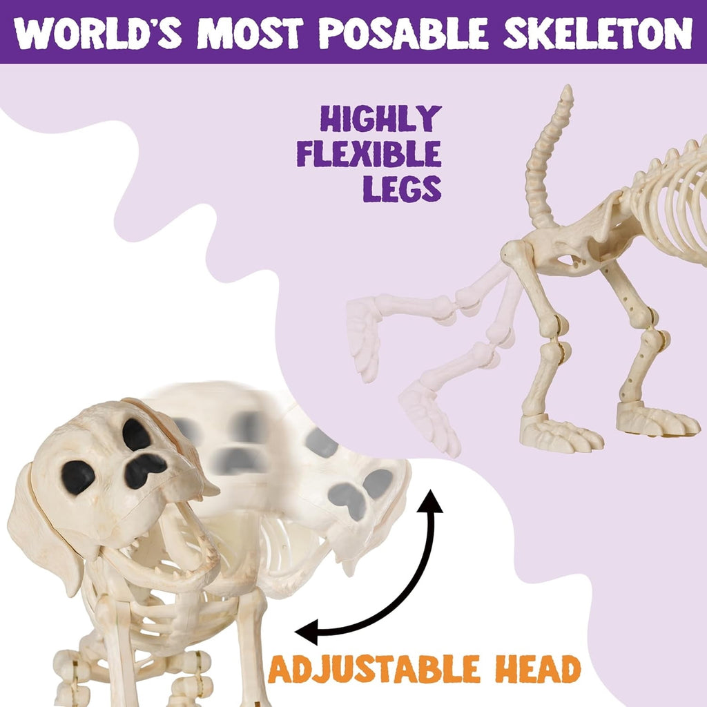Joyfy 9.8 Inch Halloween Skeleton Dog Skeleton Halloween Decor,Pose-N-Stay Plastic Skeleton Bones with Posable Joints for Hallowmas Decoration Outdoor Haunted House Party