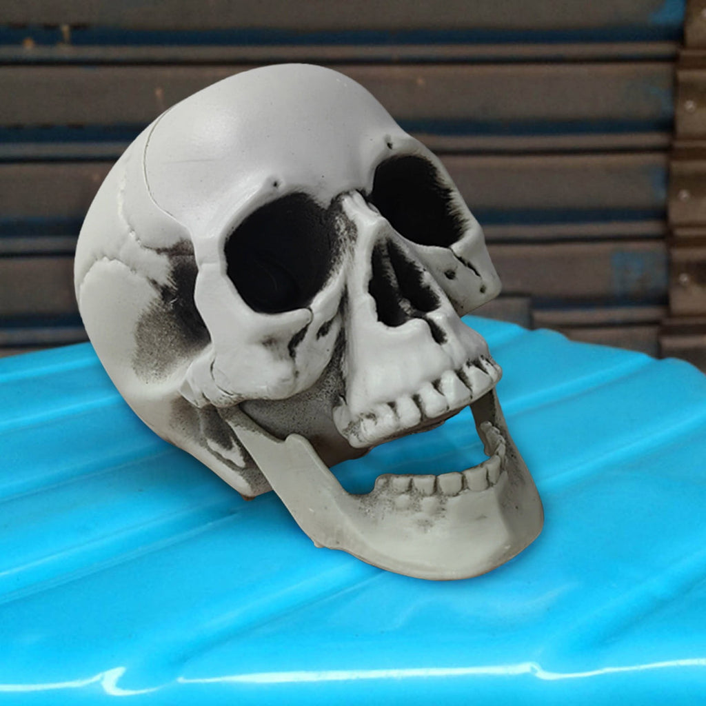 Darzheoy Halloween Skulls Halloween Skeletons Realistic Fake Simulation Human Skull Head Model Halloween Prop Realistic Mini Skeleton Spooky Halloween Decoration