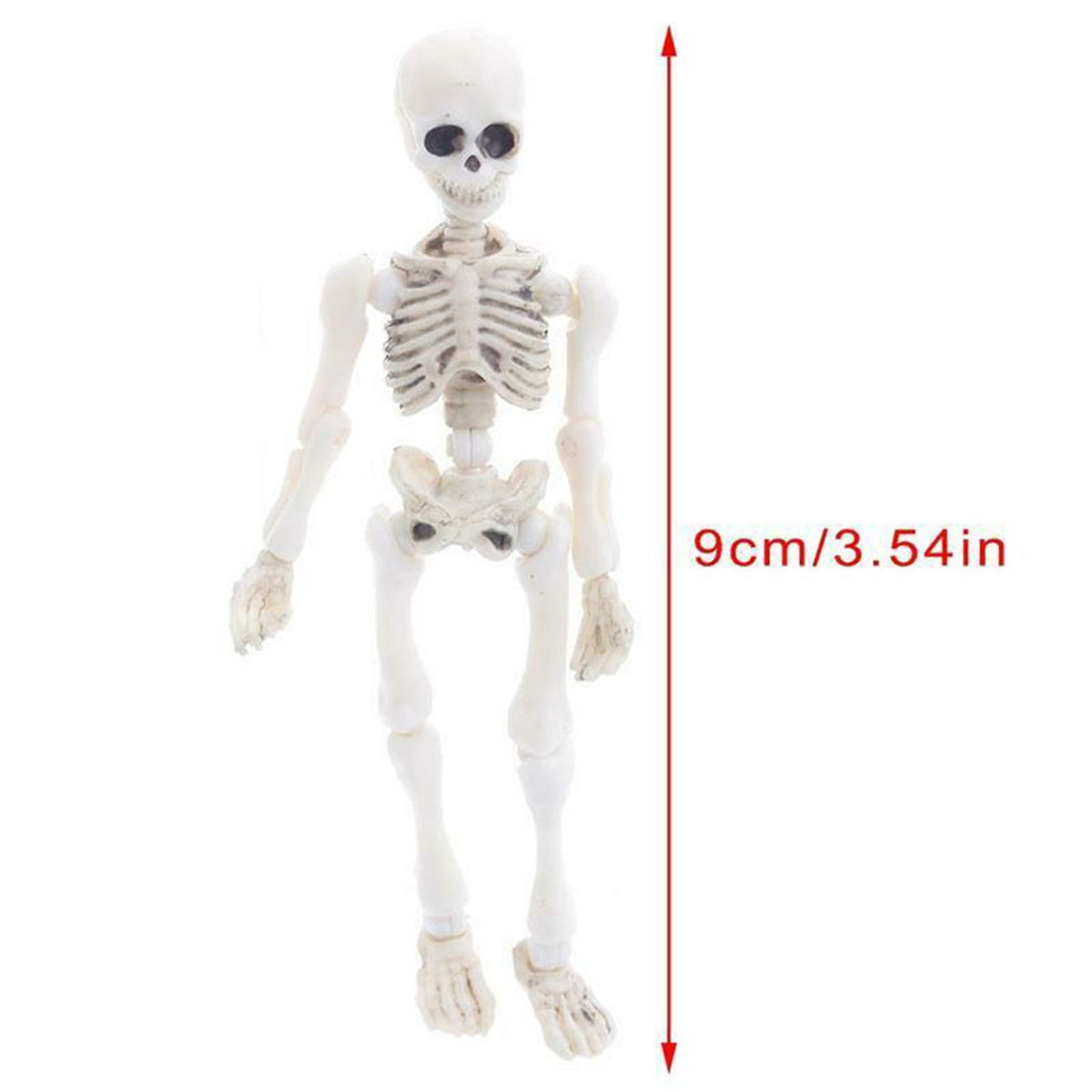 Fankiway Halloween Movable Skeleton Human Model Skull Full Body Mini Figure Toy , Decorations Skull Full Body Realistic Faux Human Skeleton Skull Decor
