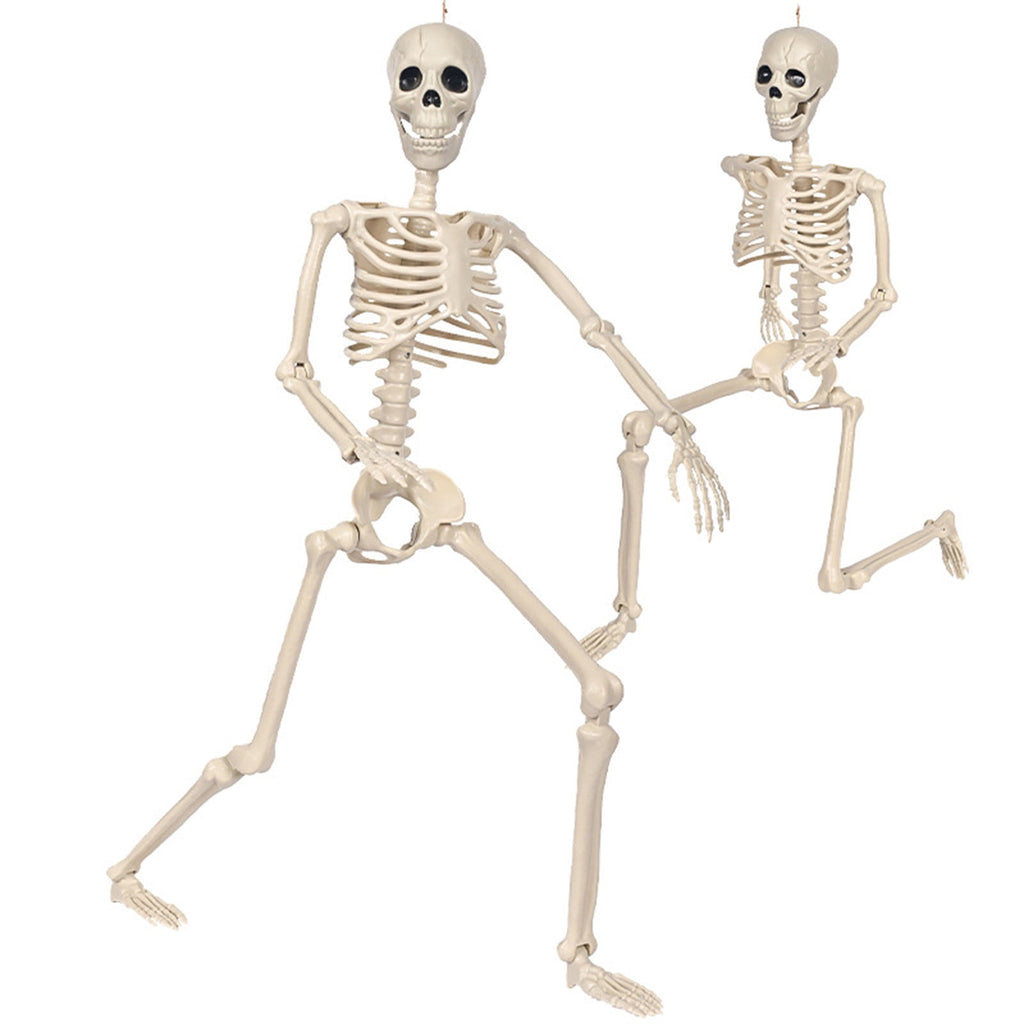 Coollooc Skeleton Halloween Decorations, 1.3Ft Realistic Full Body Movable Posable Joints Skeleton, Plastic Skeleton Decors for Halloween Party Haunted House Yard Supplies(A)