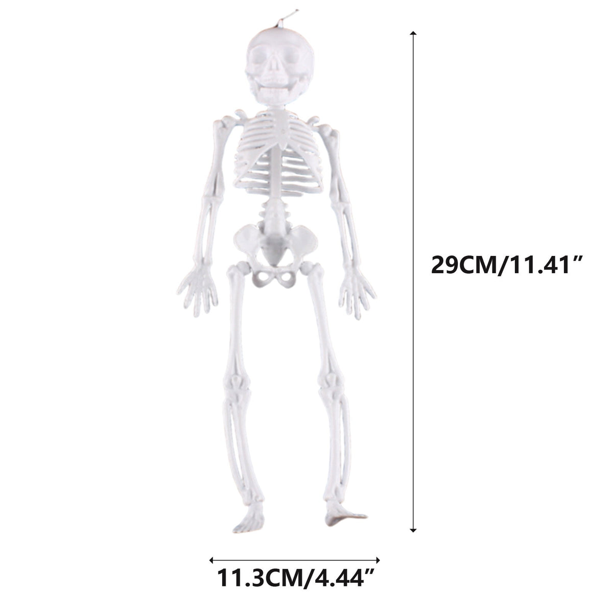Darzheoy 11.5" Halloween Skeleton Decorations, Halloween Decoration Skeleton Room Venue Decoration Props Prankster Model Frame