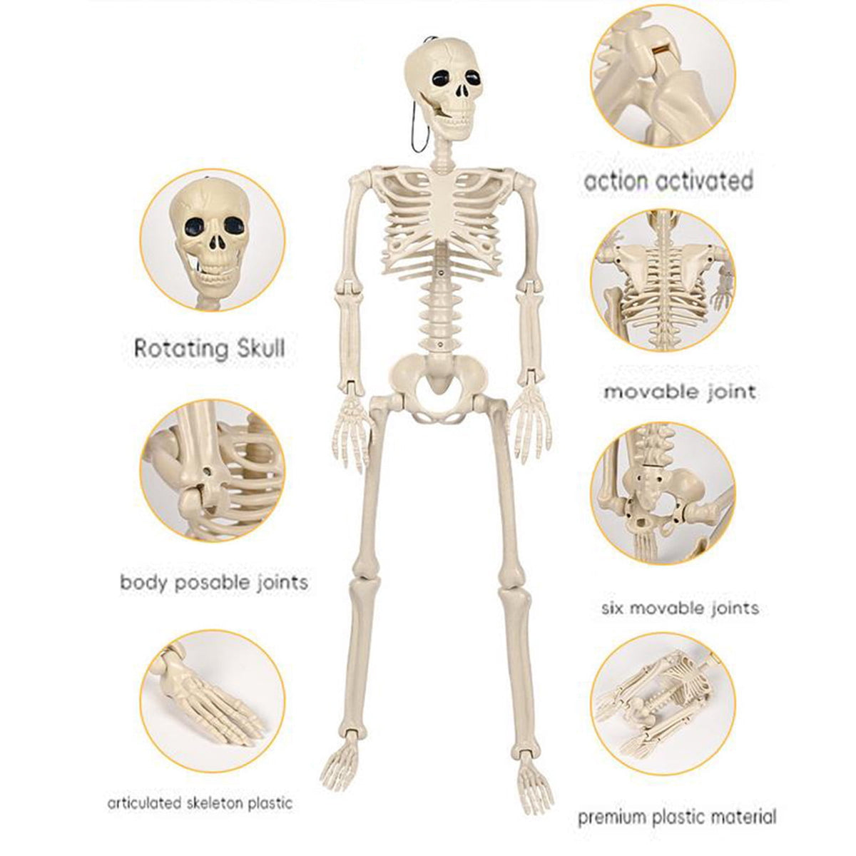 Coollooc Skeleton Halloween Decorations, 1.3Ft Realistic Full Body Movable Posable Joints Skeleton, Plastic Skeleton Decors for Halloween Party Haunted House Yard Supplies(A)