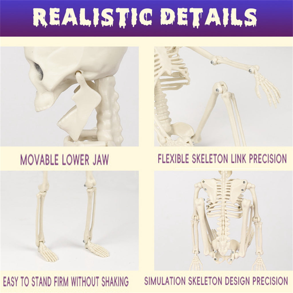 Coollooc Skeleton Halloween Decorations, 1.3Ft Realistic Full Body Movable Posable Joints Skeleton, Plastic Skeleton Decors for Halloween Party Haunted House Yard Supplies(A)