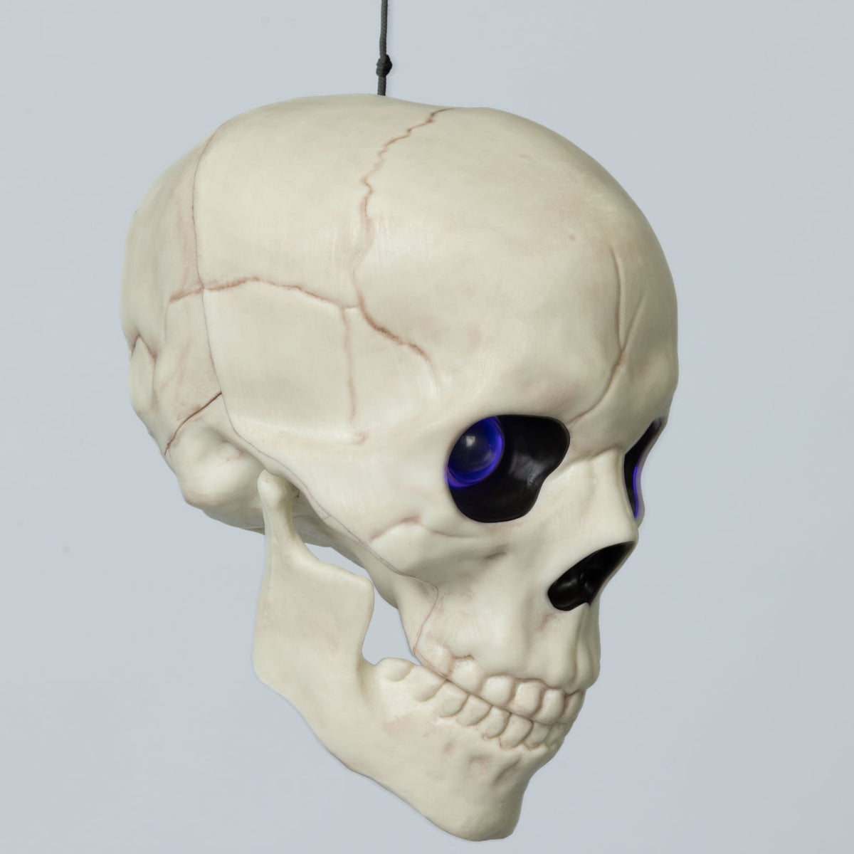 Seasons 5.8" Skull Skeleton Halloween Decoration Crazy Bonez Skeleton Line Sound and Light