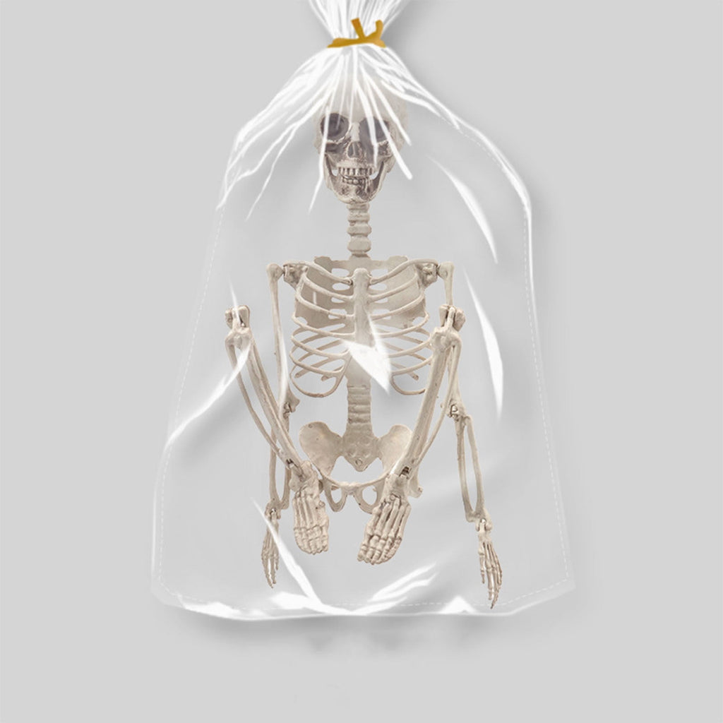 Beollynier 27.5in Detachable Skeleton Model Anatomy Educational Tool Resin Material for Halloween Desk Decor Human Body Teaching Prop
