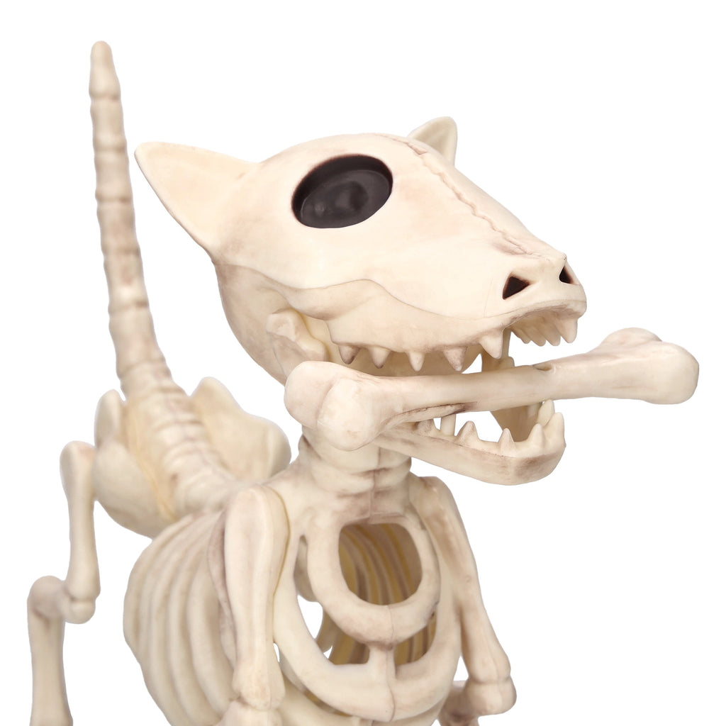 Faux Skeleton Dog Decoration, 9", Halloween by Way To Celebrate