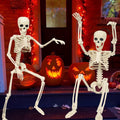 Coollooc Skeleton Halloween Decorations, 1.3Ft Realistic Full Body Movable Posable Joints Skeleton, Plastic Skeleton Decors for Halloween Party Haunted House Yard Supplies(A)