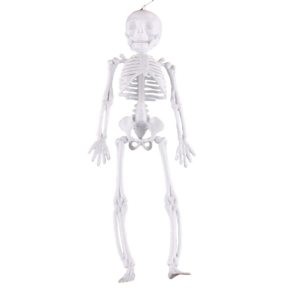 Darzheoy 11.5" Halloween Skeleton Decorations, Halloween Decoration Skeleton Room Venue Decoration Props Prankster Model Frame