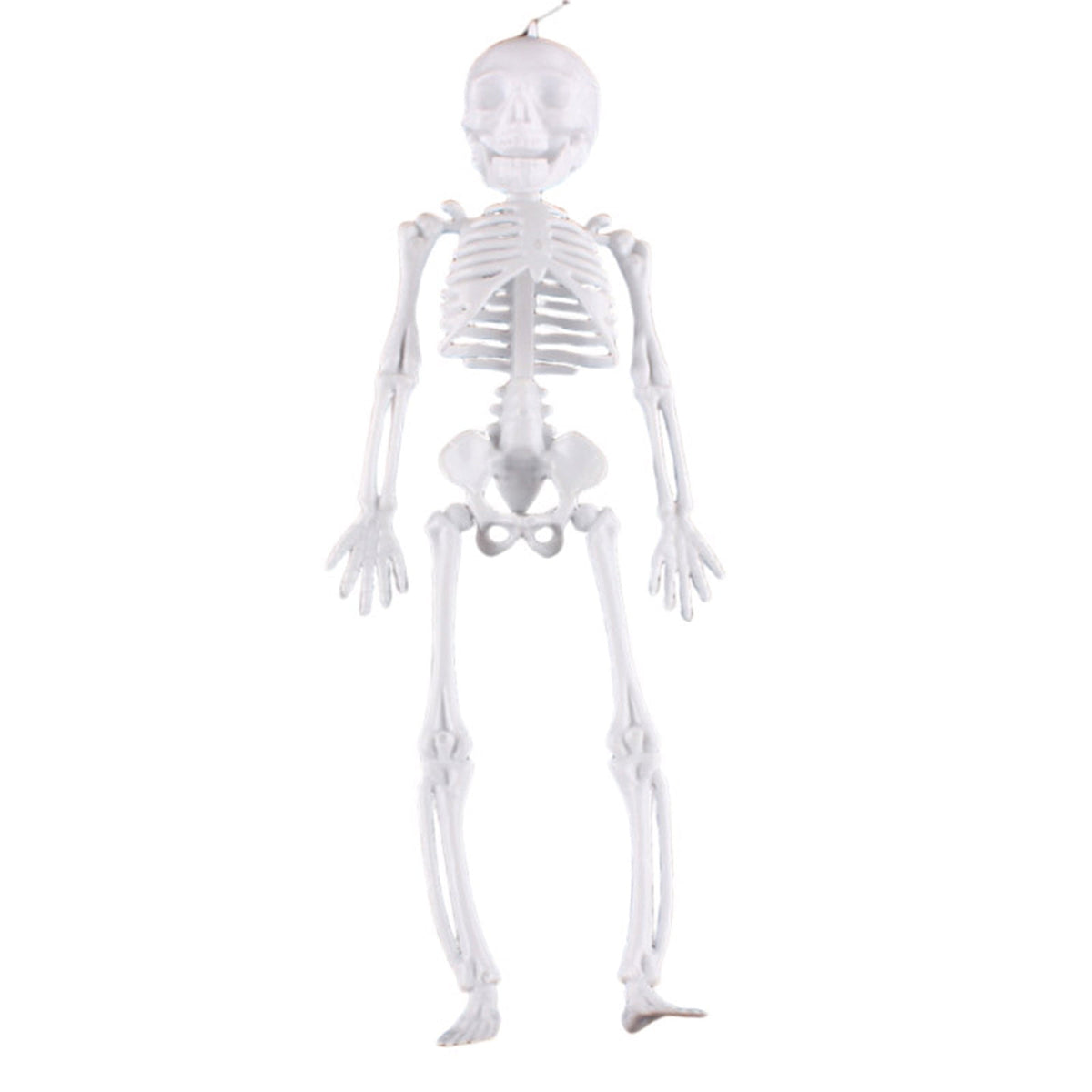Darzheoy 11.5" Halloween Skeleton Decorations, Halloween Decoration Skeleton Room Venue Decoration Props Prankster Model Frame